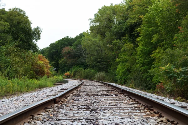 Železnice v lese — Stock fotografie