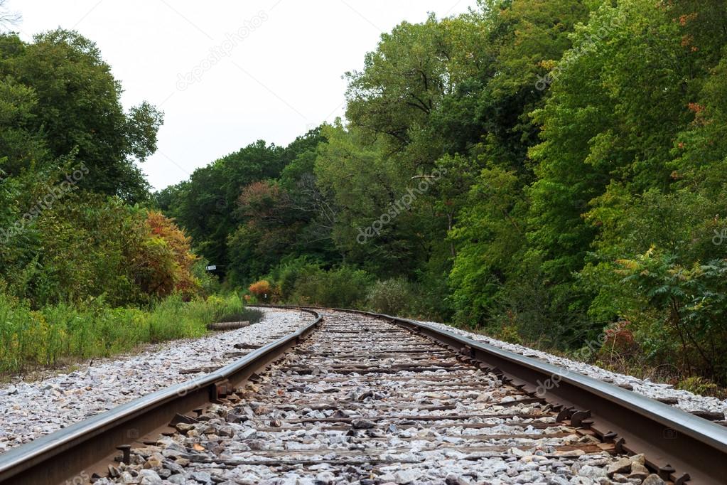 Railroad in the woods