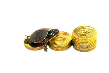 finansal kavram