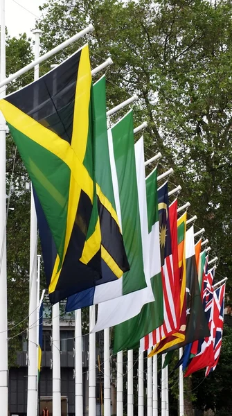 Rangée de drapeaux — Photo