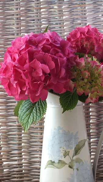 Hydrangea in vintage jug — Stock Photo, Image