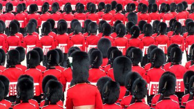 renkli at korumaları, günlerdir