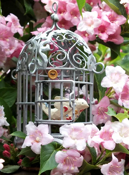 Summer flowers with shabby chic objects — Stock Photo, Image