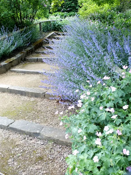 Pretty landscaped pathway — Stock Photo, Image