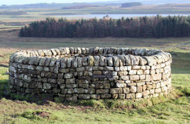 Hadrian Duvarı, northumberland