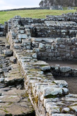 Hadrians Wall, Northumberland clipart