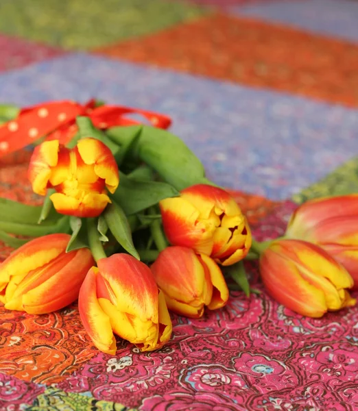 Flores da Primavera, tulipas simples — Fotografia de Stock