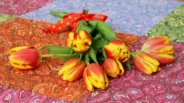 Spring Flowers, simple tulips — Stock Photo, Image
