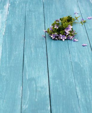 Fakirler unut beni mavi