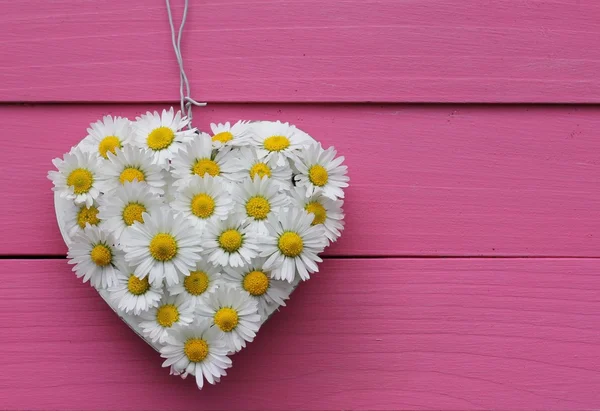 Daisy Heart — Stock Photo, Image