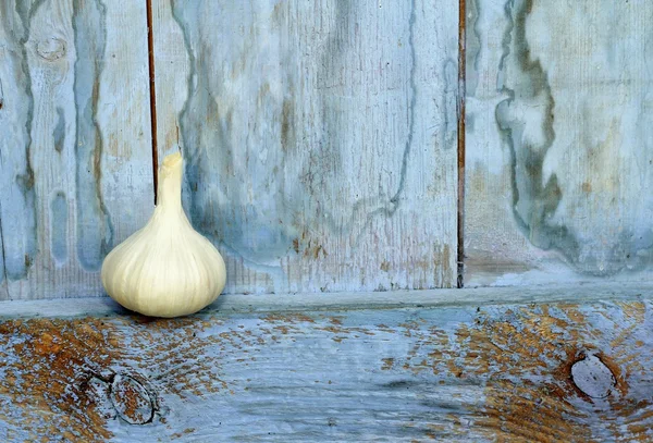 Organic garlic on rustic blue shelf — Stock Photo, Image