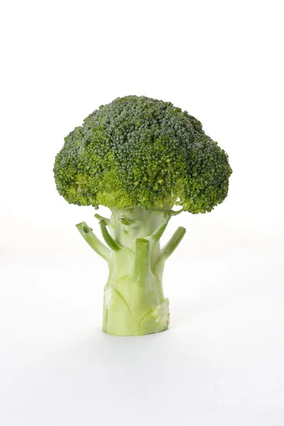 Beyaz arka planda brocoli — Stok fotoğraf