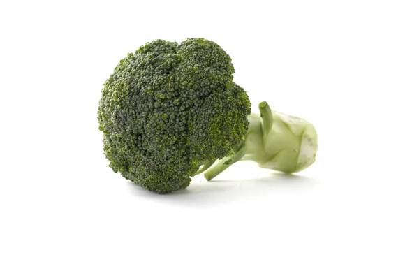 Brocoli on white background — Stock Photo, Image