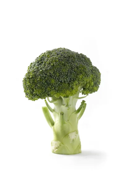 Brocoli on white background — Stock Photo, Image