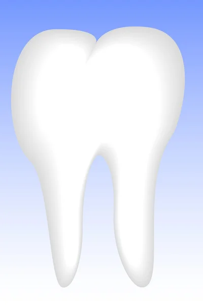 Zęba — Wektor stockowy