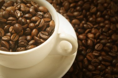 robusta kahve çekirdekleri fincan