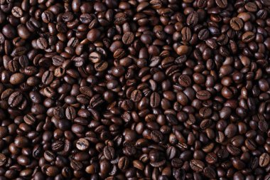 robusta kahve çekirdekleri