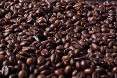 robusta kahve çekirdekleri