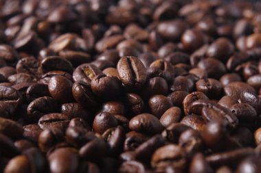 robusta kahve çekirdekleri