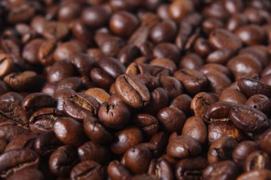 robusta kahve çekirdekleri