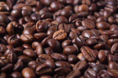 robusta kahve çekirdekleri