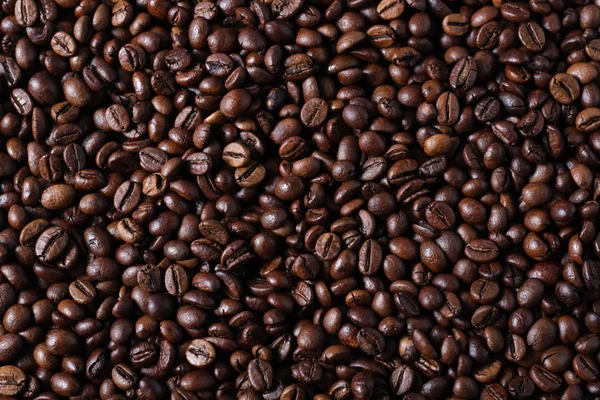 robusta kahve çekirdekleri