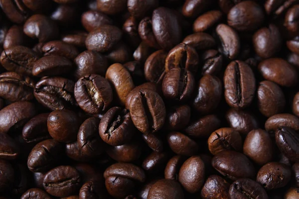 Robusta Coffee Beans — Stock Photo, Image