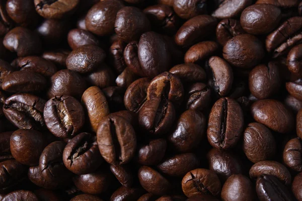 robusta kahve çekirdekleri