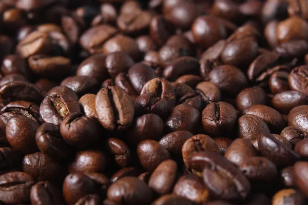 robusta kahve çekirdekleri