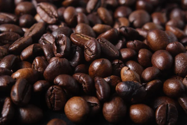 Robusta Coffee Beans — Stock Photo, Image