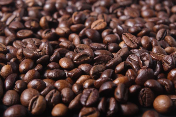 Robusta Coffee Beans — Stock Photo, Image