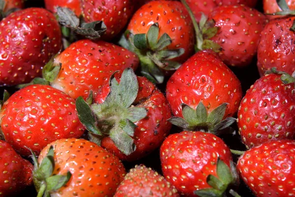 Strawberry — Stock Photo, Image