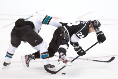 Ulusal Hokey Ligi oyunu
