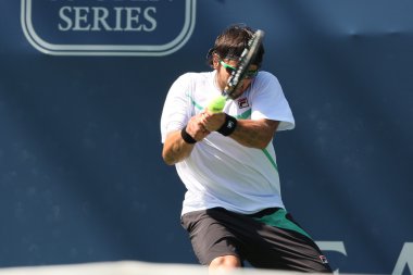 Janko tipsarevic ve sam querrey bir maçı oynamak