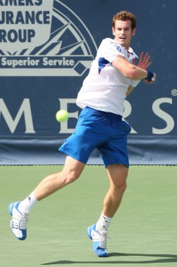 Andy Murray Büyük Britanya'nın ve Sam Querrey (resim) ABD final maçı 2010 çiftçiler Classic adlı oyun