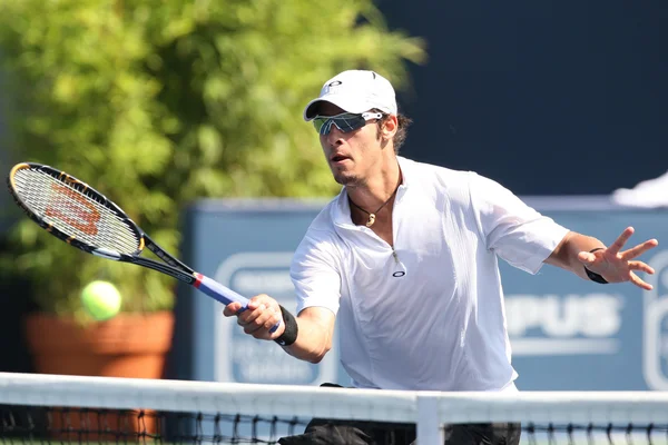 Ilija Bozoljac of Serbia vs Robby Ginepri of USA spille en kamp - Stock-foto