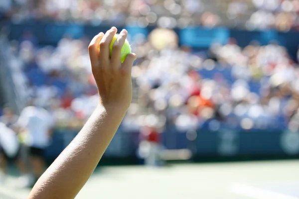 Janko tipsarevic och sam querrey spela en match — Stockfoto