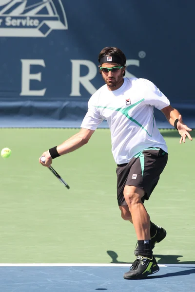 Janko Tipsarevic e Sam Querrey giocano una partita — Foto Stock