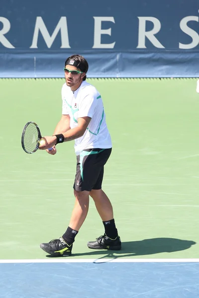 Janko Tipsarevic e Sam Querrey giocano una partita — Foto Stock