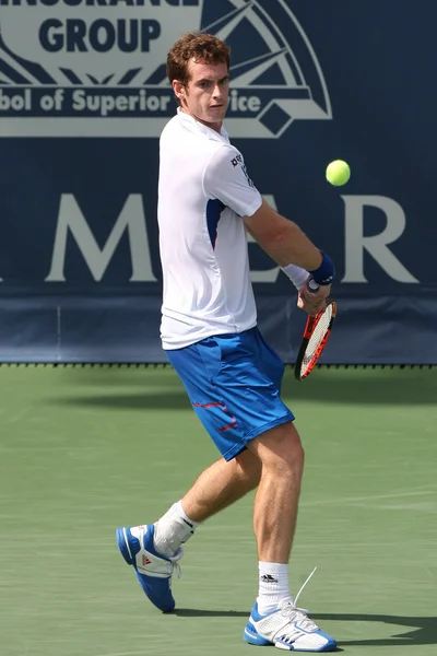 Andy Murray de Gran Bretaña (en la foto) y Sam Querrey de EE.UU. juegan el partido final en el 2010 Farmers Classic —  Fotos de Stock