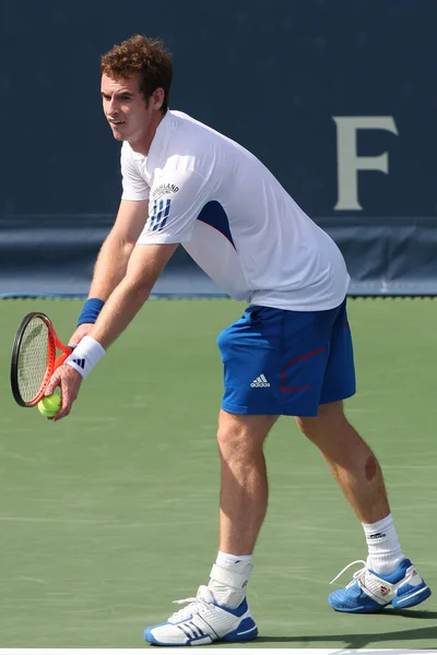 Andy Murray of Great Britain (pictured) and Sam Querrey of USA play the final match at the 2010 Farmers Classic — Stock Photo, Image