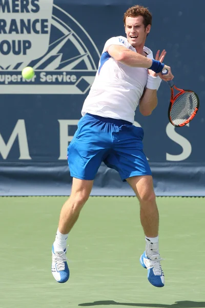 Andy Murray della Gran Bretagna e Sam Querrey degli Stati Uniti (nella foto) giocano la partita finale al 2010 Farmers Classic — Foto Stock