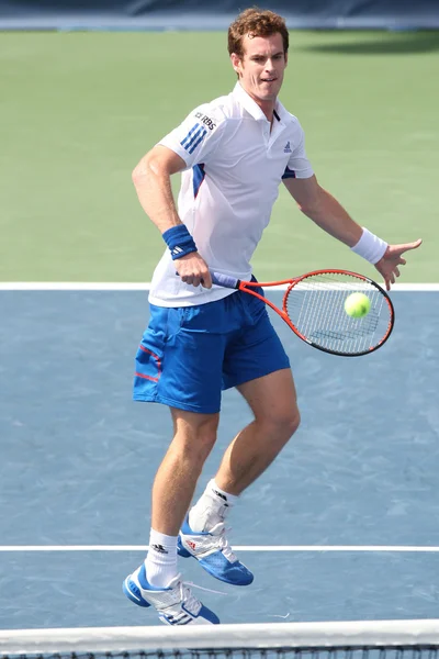 Andy Murray of Great Britain and Sam Querrey of USA (pictured) play the final match at the 2010 Farmers Classic — Stock Photo, Image