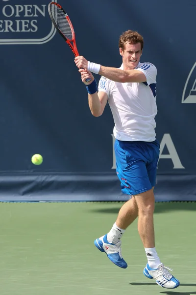 Andy Murray of Great Britain and Sam Querrey of USA (pictured) play the final match at the 2010 Farmers Classic — Stock Photo, Image