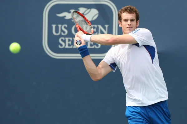 Andy murray of great britain (im Bild) und sam querrey of usa spielen das finale spiel beim bauernklassiker 2010 — Stockfoto