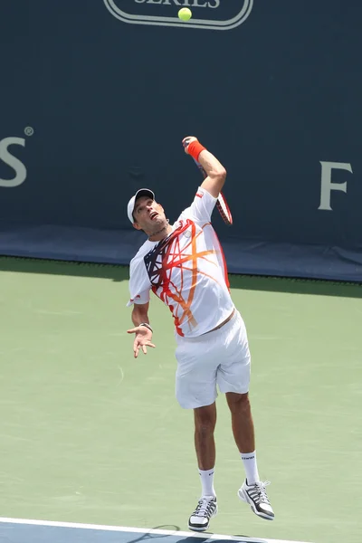 Bob bryan i usa (bilden) & mike bryan usa spela dubbel finalen mot eric butorac av usa & jean-julien rumpor i holland — Stockfoto