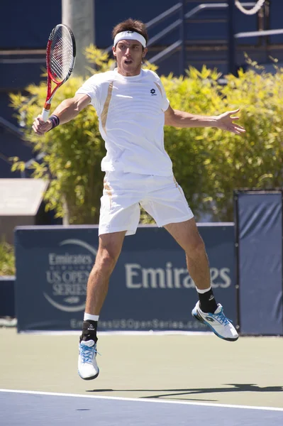 Leonardo Mayer in action during the game — Stock Photo, Image