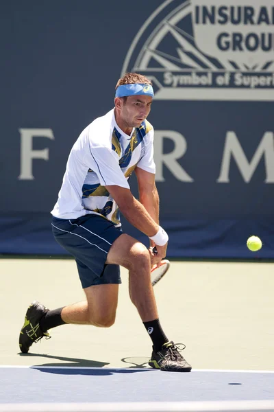 Marinko Matosevic in action during the game — Stock Photo, Image