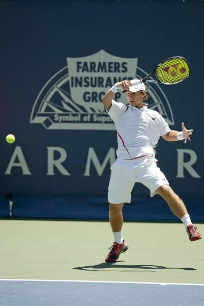 Ricardas Berankis in azione durante il gioco — Foto Stock