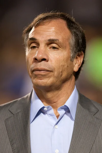 Bruce arena tijdens het spel — Stockfoto